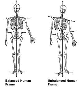 Balanced - Unbalanced human frame reference